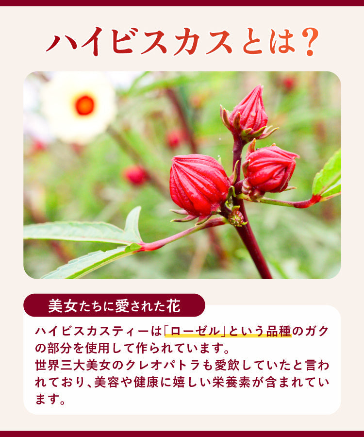 ローズヒップハイビスカス