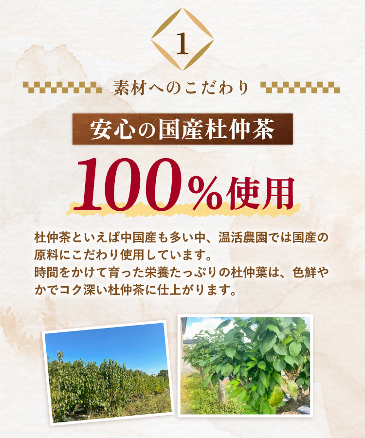 杜仲茶