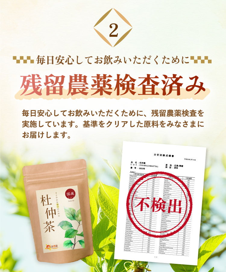 杜仲茶