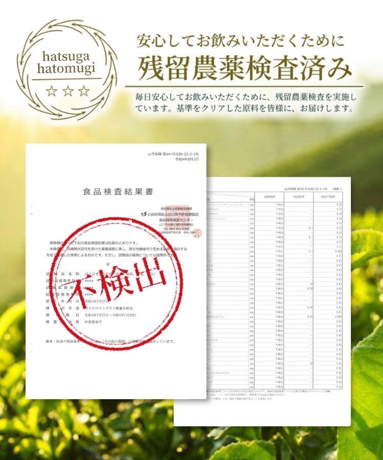 発芽はとむぎ茶