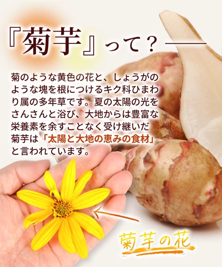 温活農園の菊芋茶