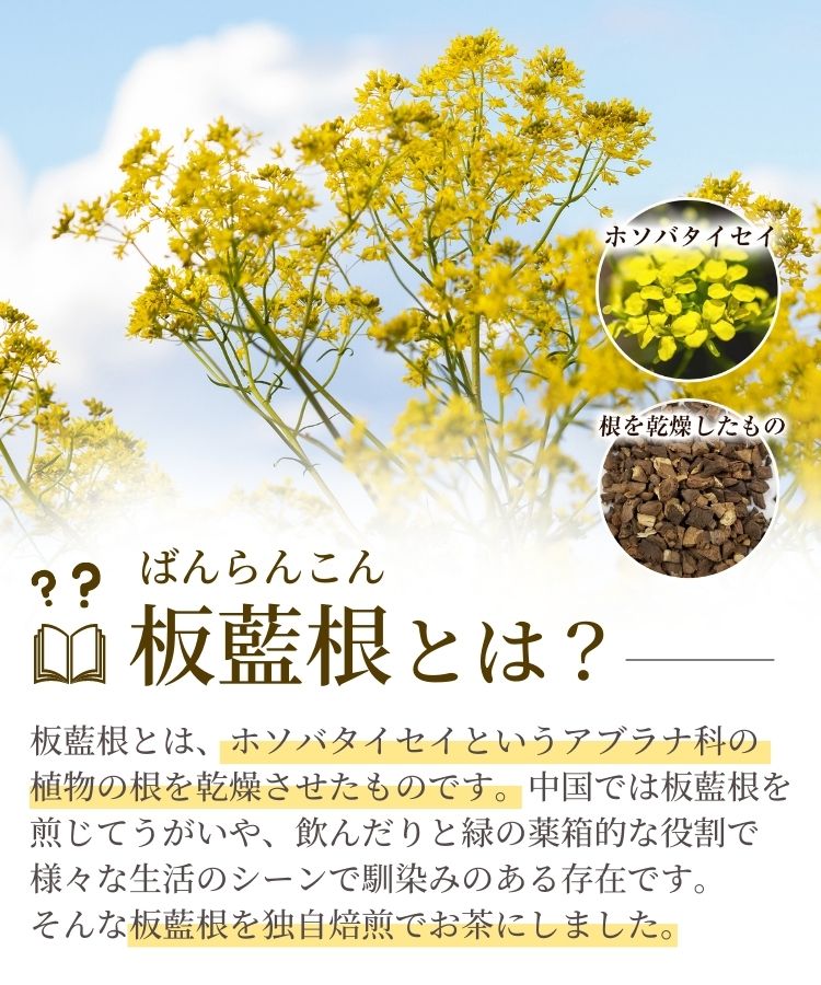 温活農園の板藍根茶