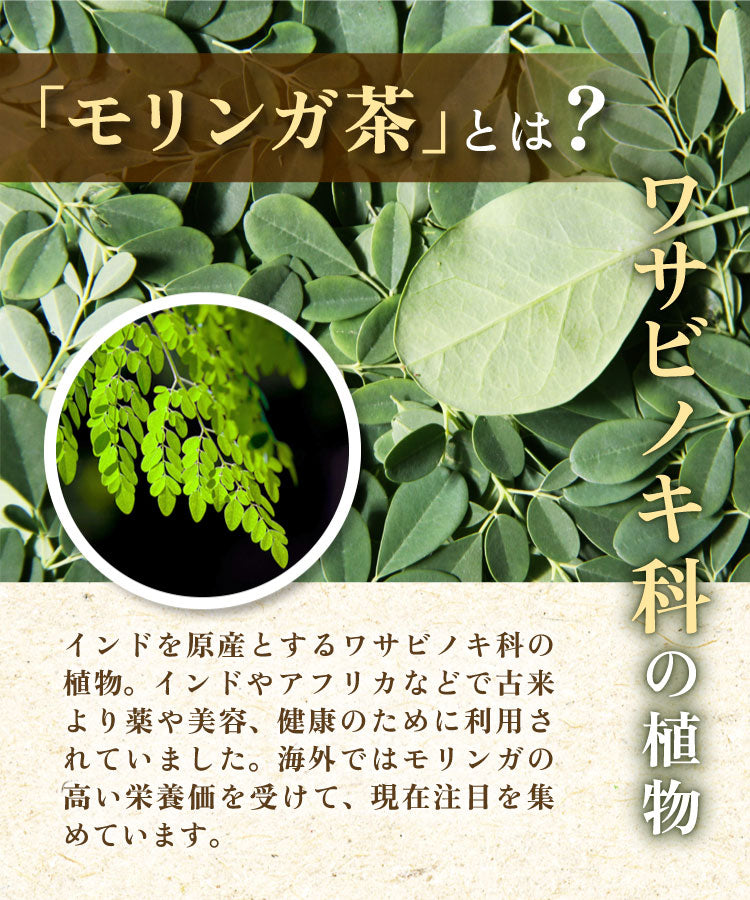 温活農園のモリンガ茶はわさびのき料の植物