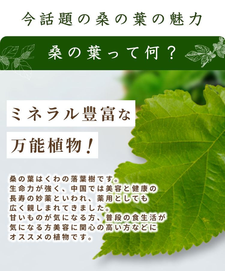 温活農園の国産桑の葉茶はミネラル豊富な健康茶