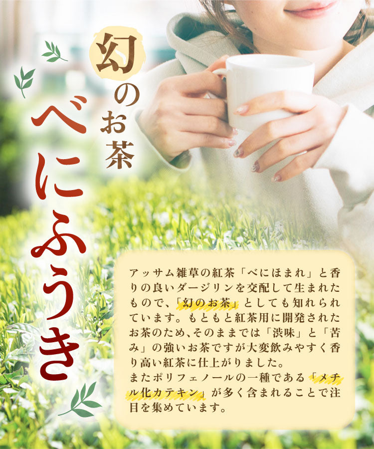 温活農園の国産和紅茶は幻のお茶