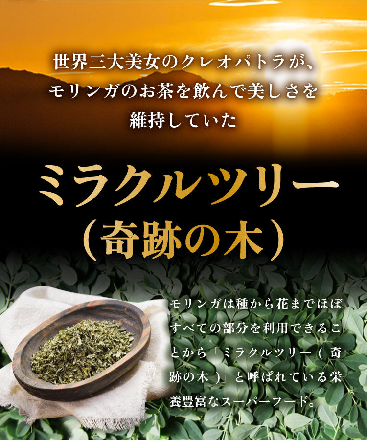 温活農園のモリンガ茶は奇跡の木と呼ばれる