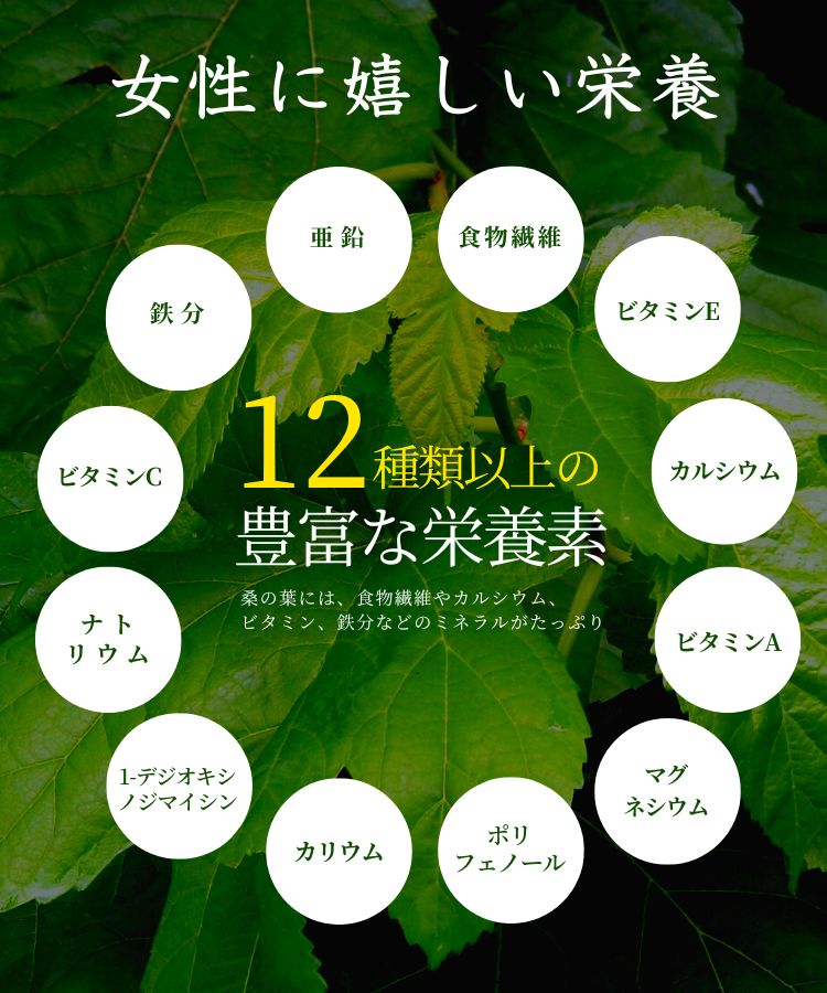 温活農園の国産桑の葉茶は12種類以上の豊富な栄養素が含まれてる