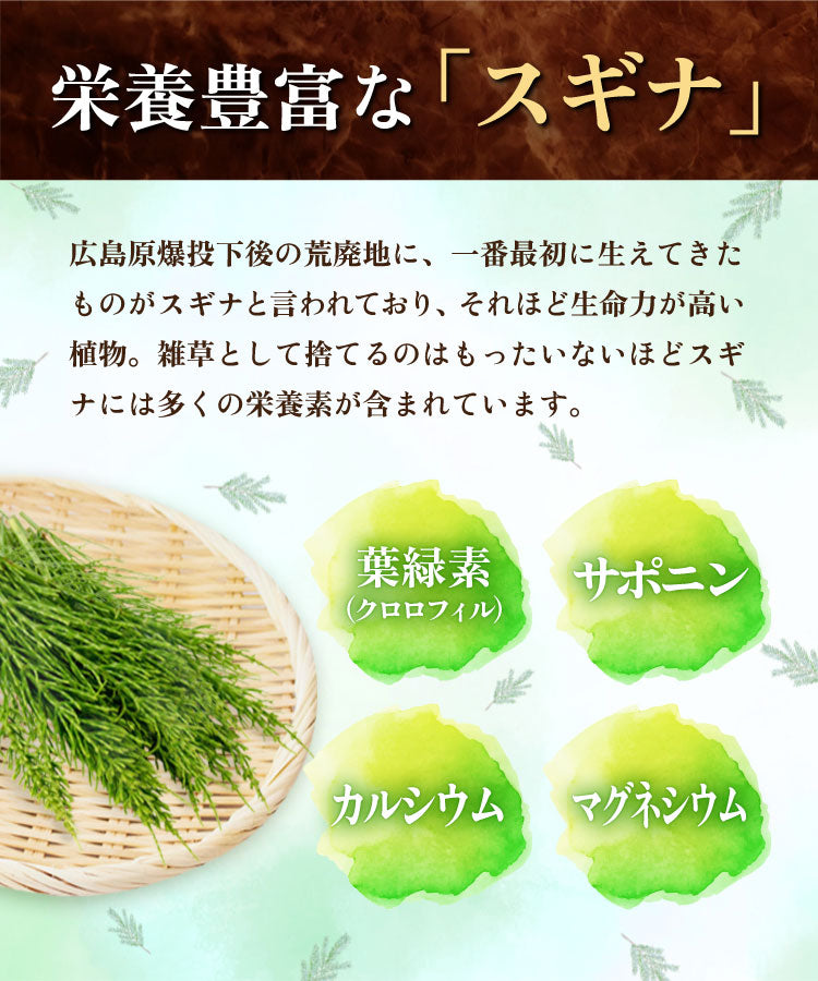 温活農園の国産すぎな茶はクロロフィル、サポニン、カルシウムとマグネシウムが入っている