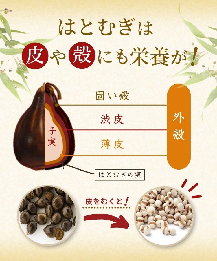 温活農園の国産発芽はとむぎ茶