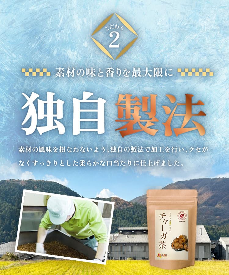 チャーガ茶