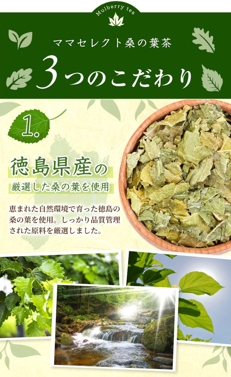 温活農園の国産桑の葉茶