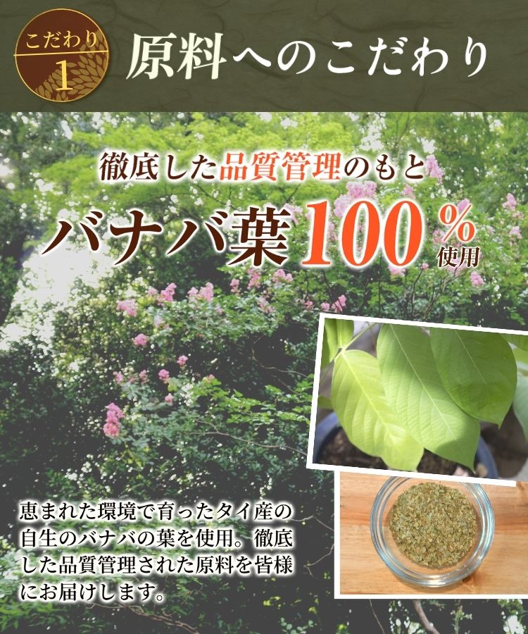 温活農園のバナバ茶