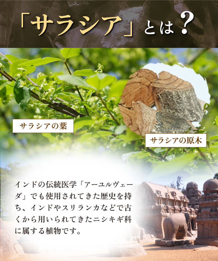 温活農園のサラシア茶 健康茶 国産
