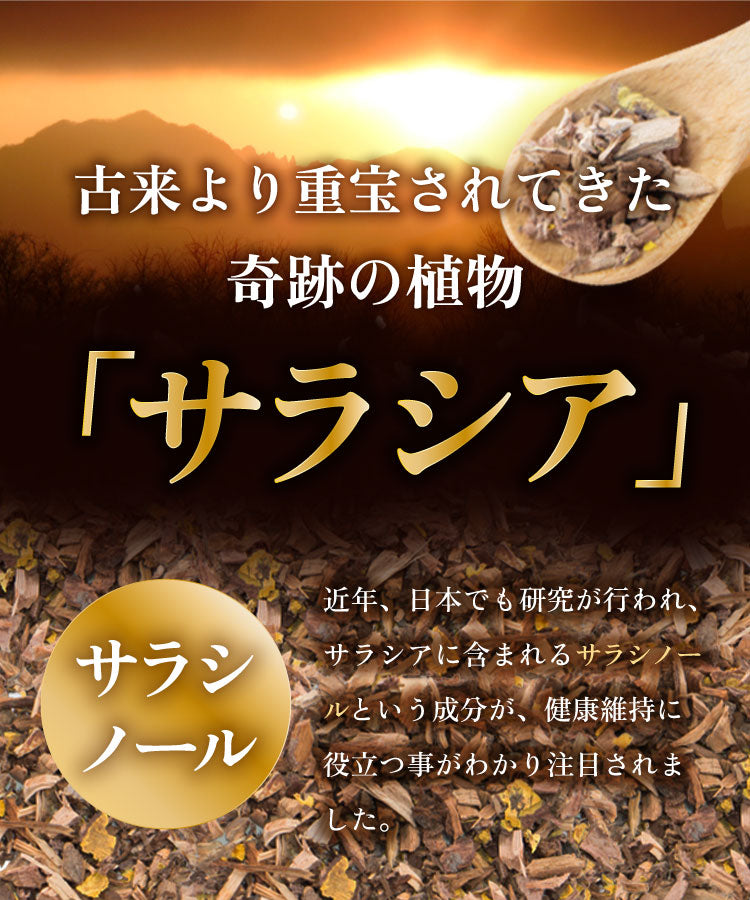 温活農園のサラシア茶 健康茶 国産