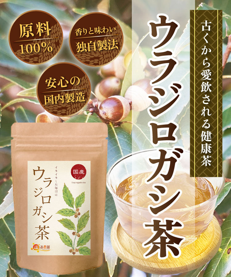 温活農園の国産ウラジロガシ茶