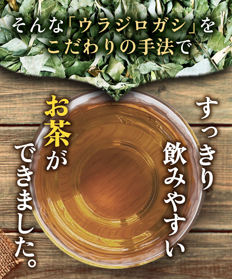 温活農園の国産ウラジロガシ茶はすっきりで飲みやすい健康茶