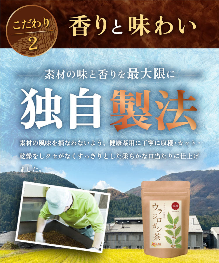 温活農園の国産ウラジロガシ茶