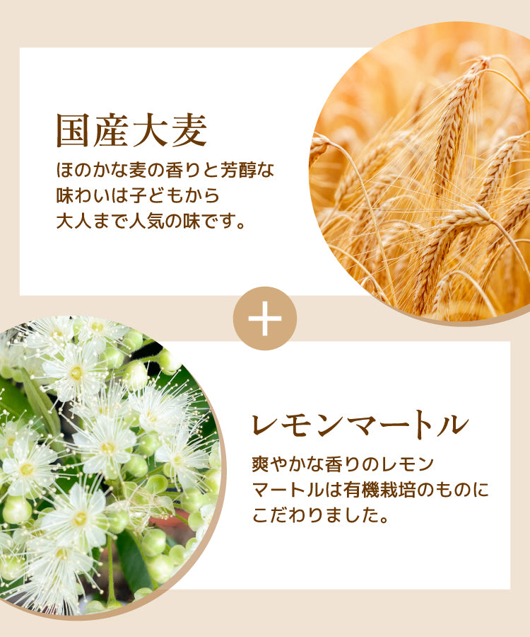 レモンマートル麦茶