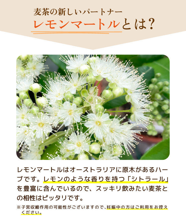 レモンマートル麦茶