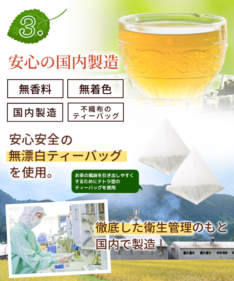 桑の葉茶