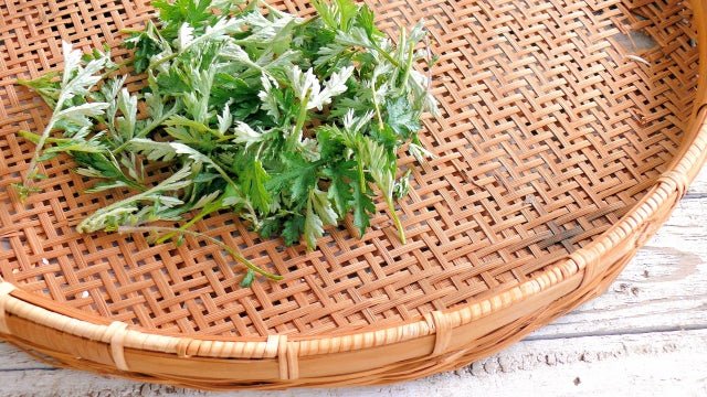 【知らないと損！？】よもぎ茶の特徴② - 【公式】温活農園