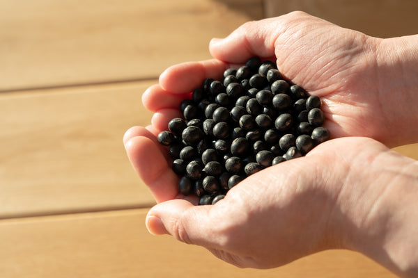 美容が気になる方におすすめの黒豆茶を徹底解説【特徴やメリットについて】