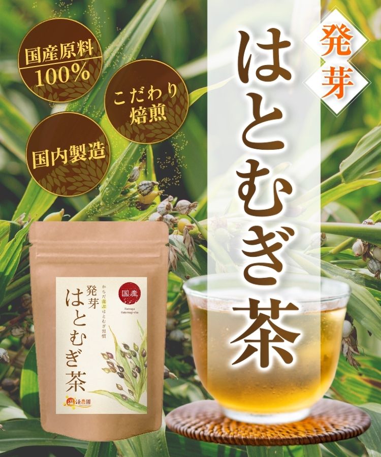 発芽はとむぎ茶