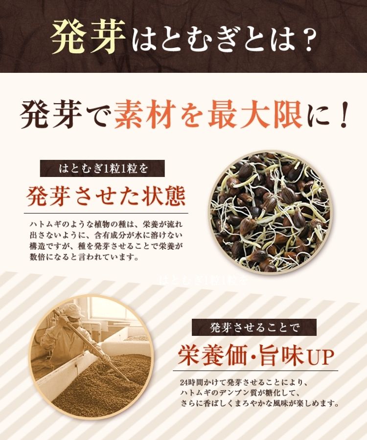 発芽はとむぎ茶