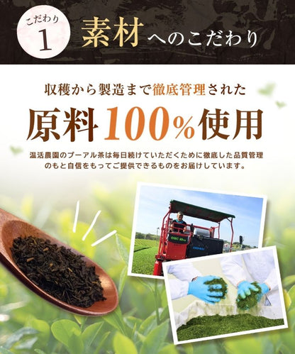 温活農園の国産プーアル茶