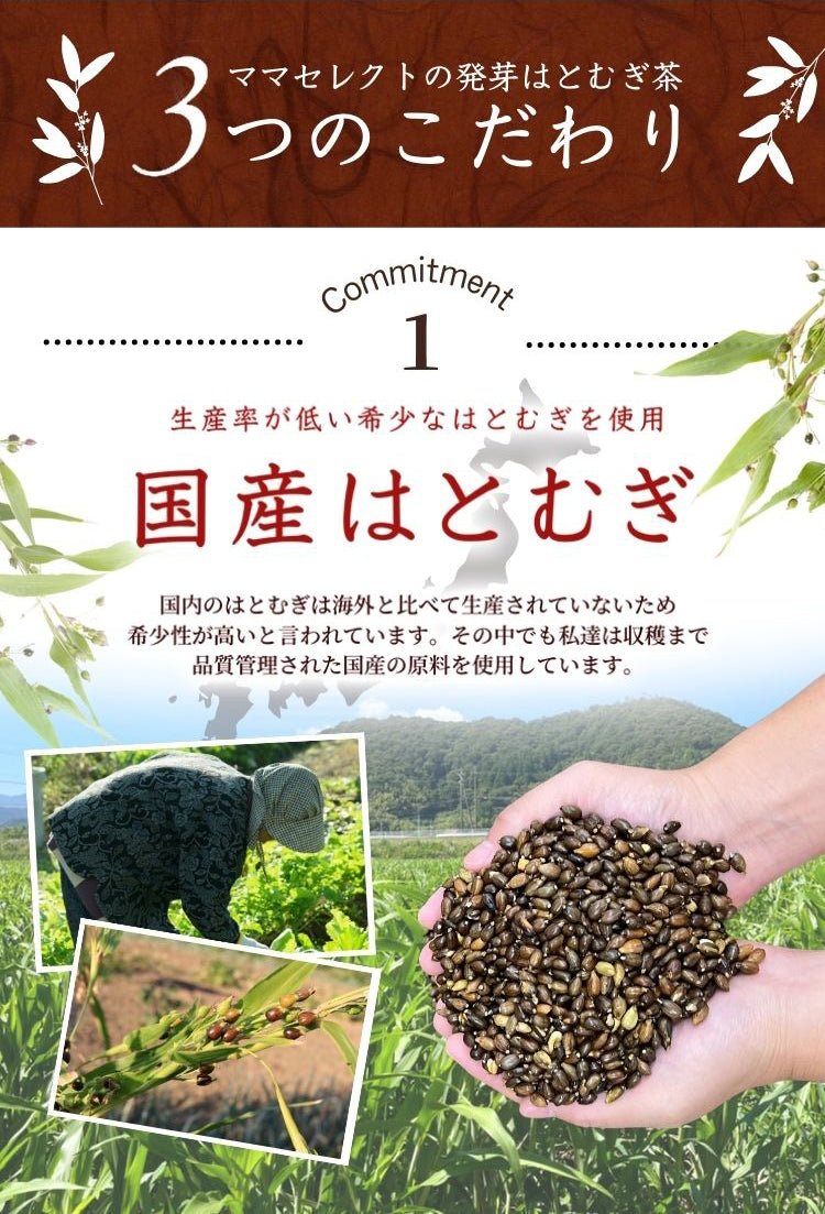 国産発芽はとむぎ茶【温活農園】 – 【公式】温活農園