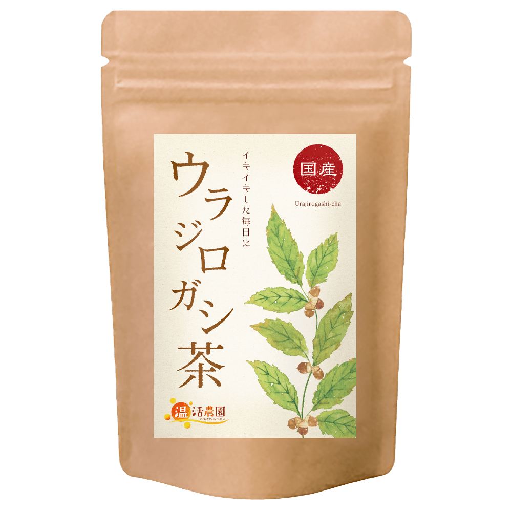 ウラジロガシ茶 - 健康茶 | 温活農園
