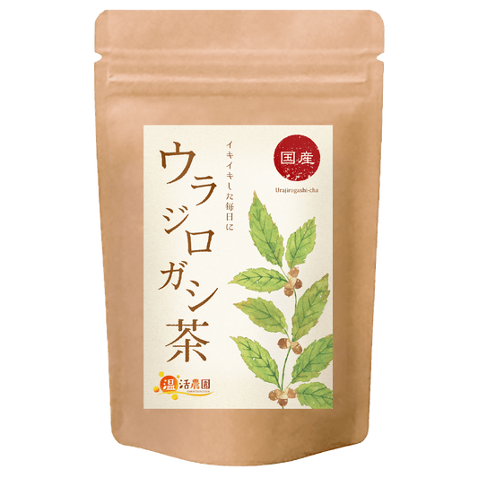 ウラジロガシ茶 - 健康茶 | 温活農園