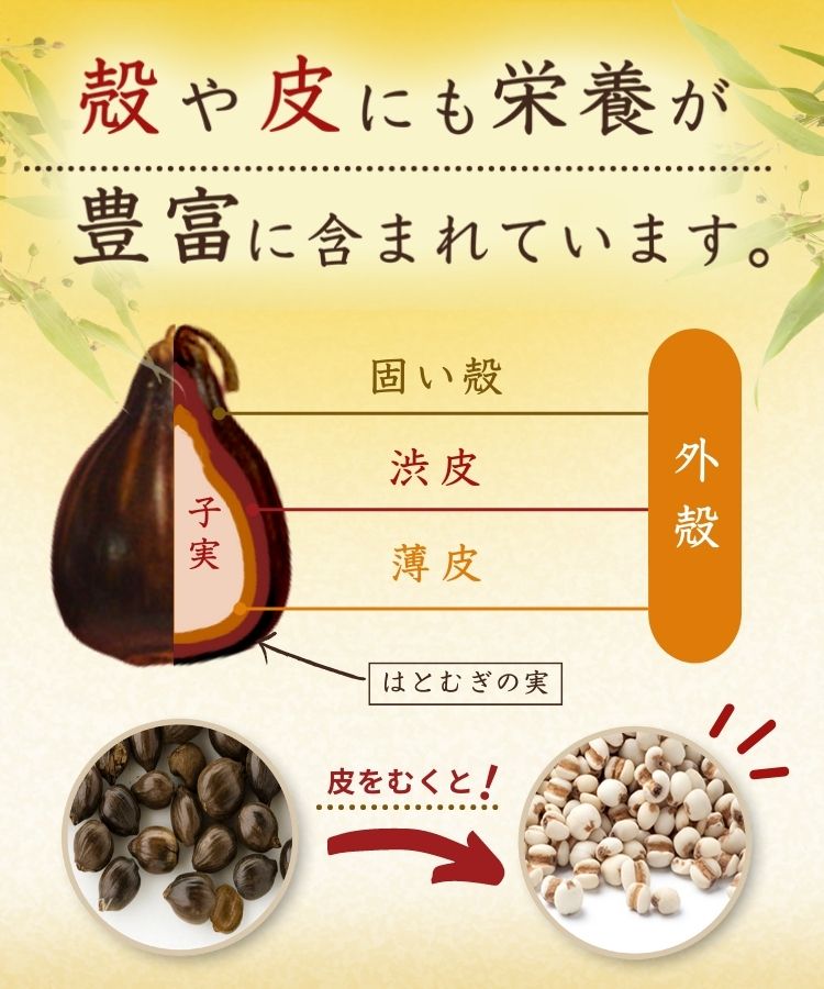 温活農園の国産はとむぎ茶は栄養成分が豊富