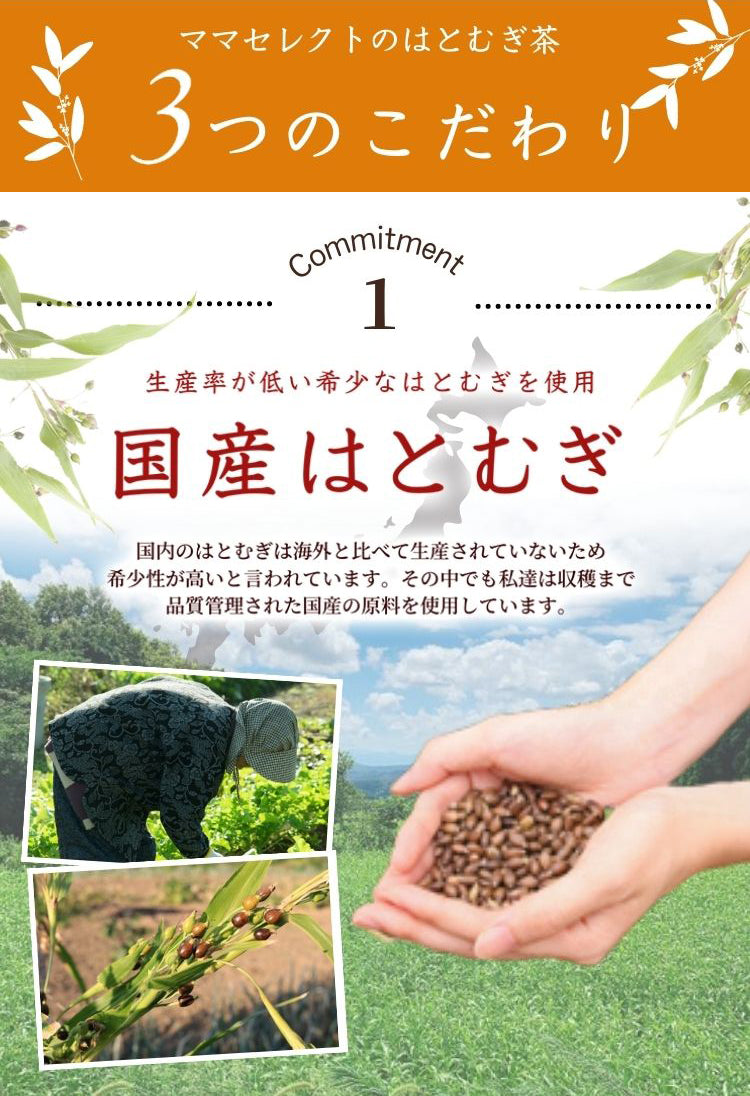 国産はとむぎ茶【温活農園】 – 【公式】温活農園