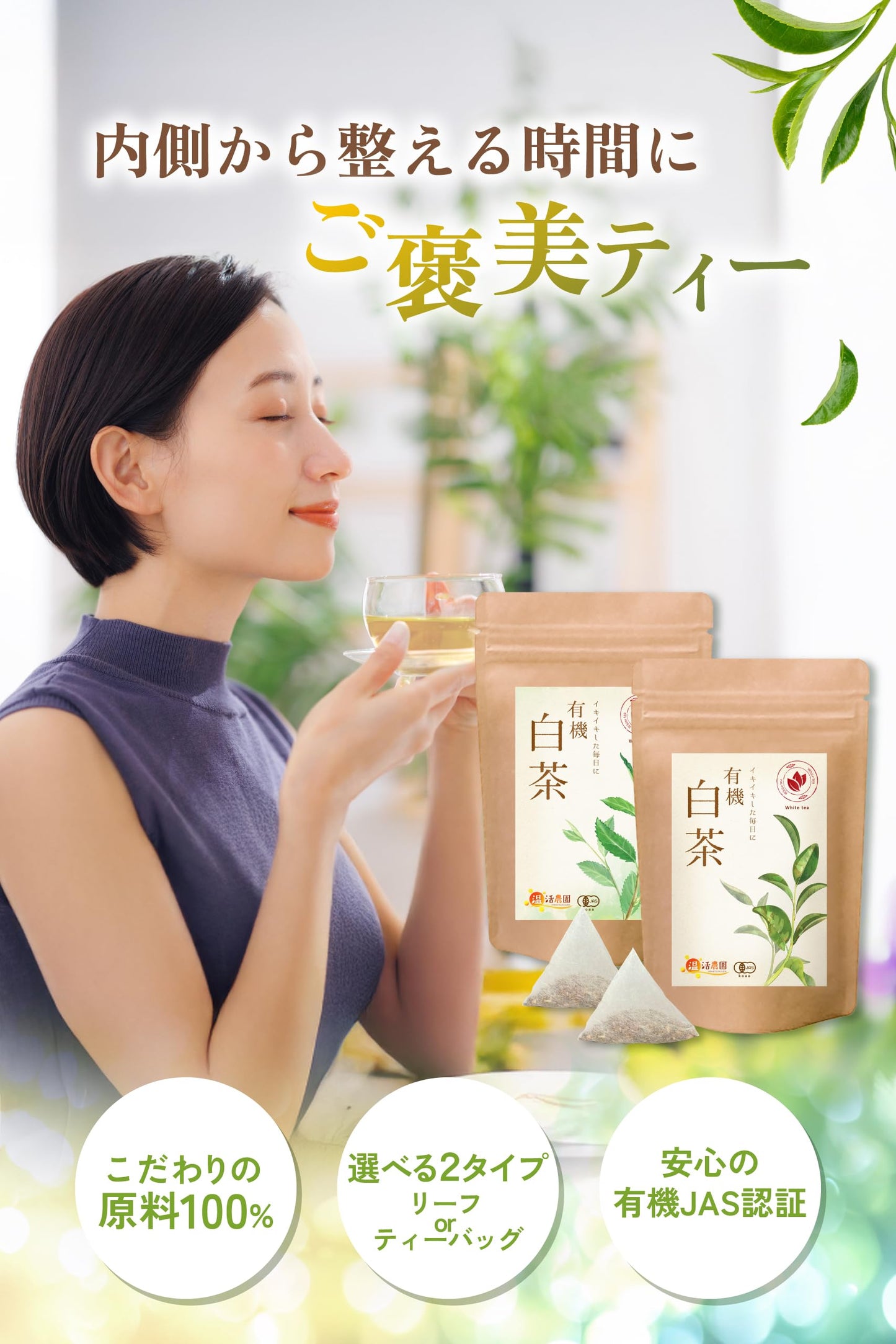 有機白茶（ティーバッグ）