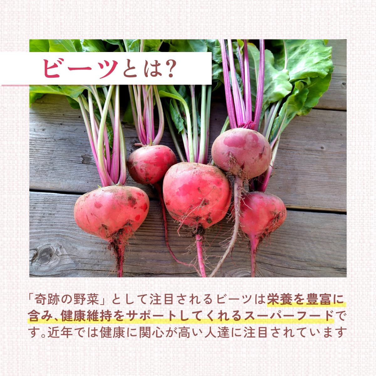 国産ビーツパウダー 北海道産 スーパーフード | 温活農園公式 – 【公式