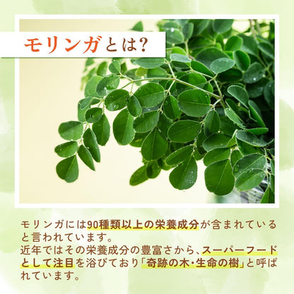 モリンガパウダー - 食品パウダー | 温活農園