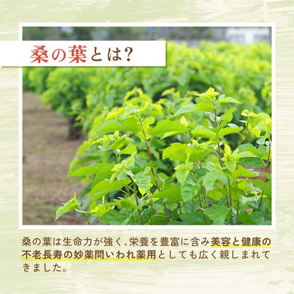 桑の葉パウダー - 食品パウダー | 温活農園