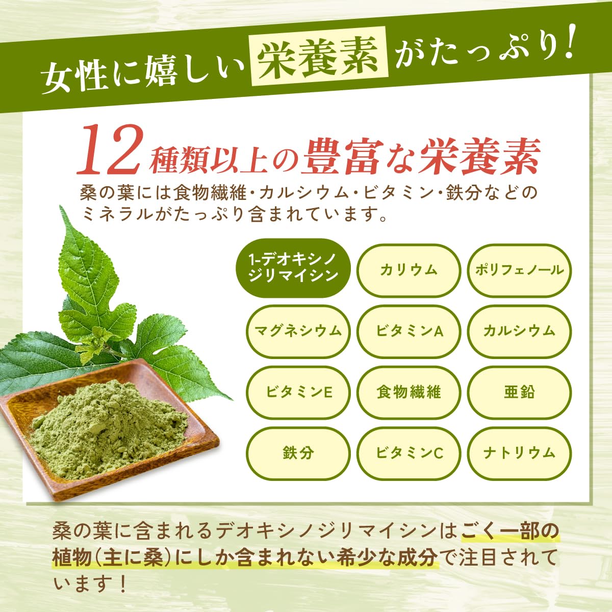 桑の葉パウダー - 食品パウダー | 温活農園