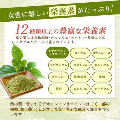 桑の葉パウダー - 食品パウダー | 温活農園