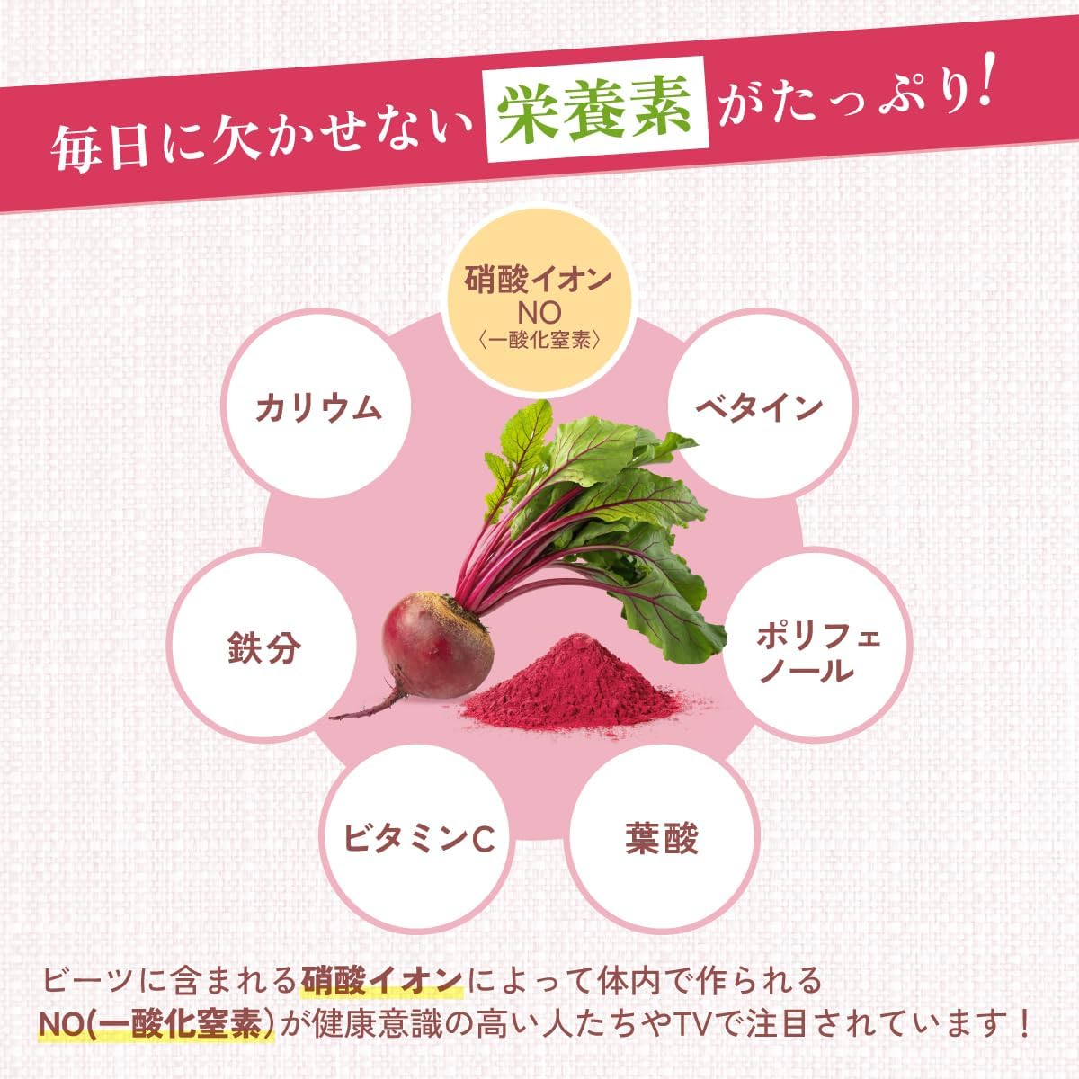 ビーツパウダー - 食品パウダー | 温活農園