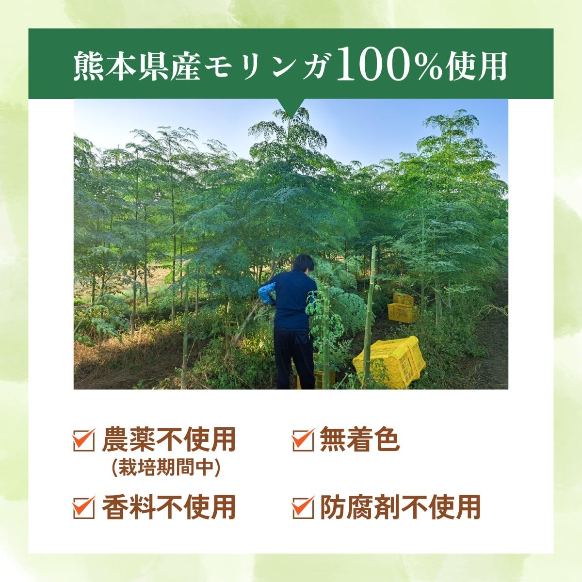 国産モリンガパウダー スーパーフード 有機JAS | 温活農園公式