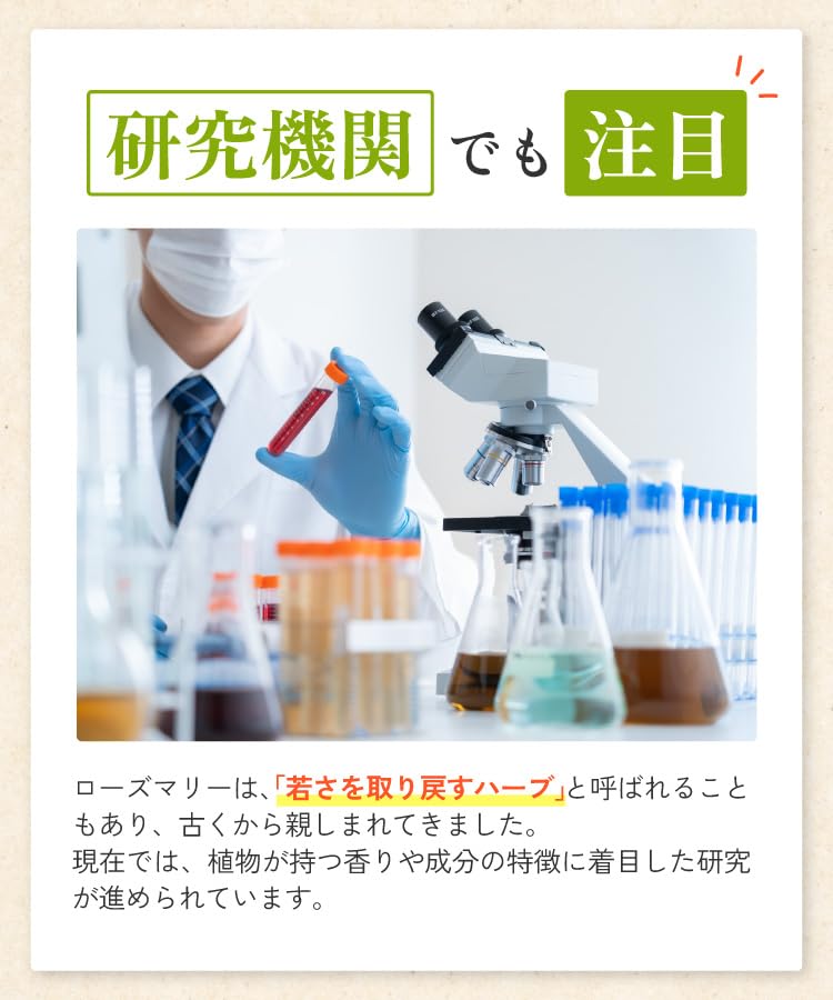 有機ローズマリーティー