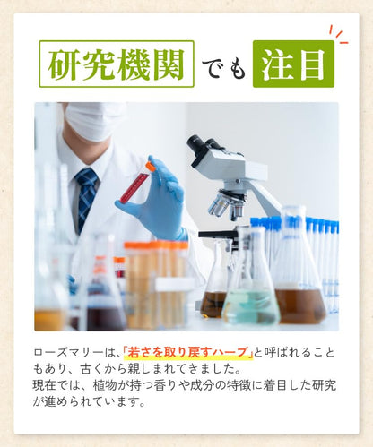 有機ローズマリーティー