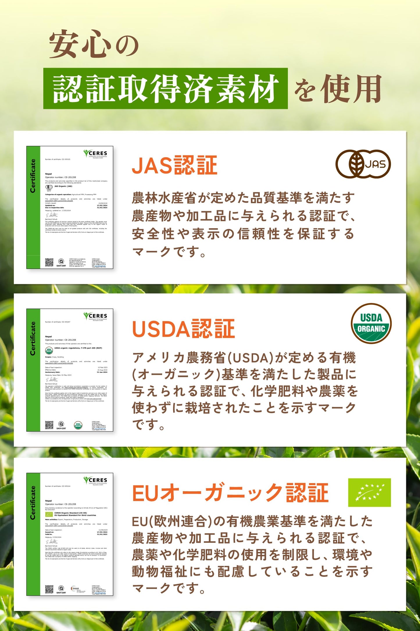 有機白茶（ティーバッグ）