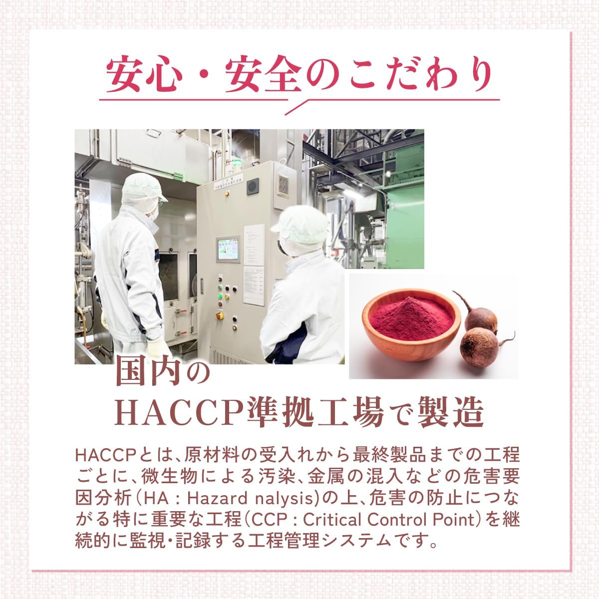ビーツパウダー - 食品パウダー | 温活農園