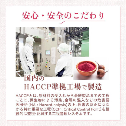 ビーツパウダー - 食品パウダー | 温活農園