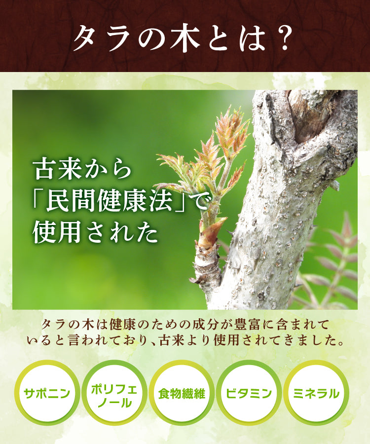 タラの木茶