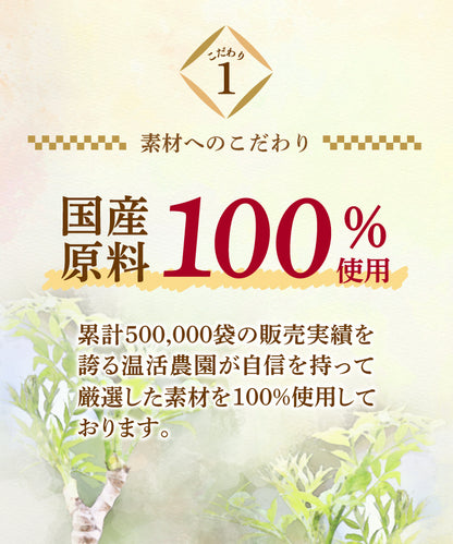 タラの木茶