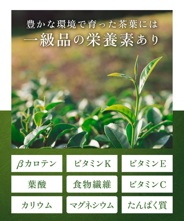 宇治抹茶 雅 - 健康茶 | 温活農園
